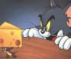 Tom the cat surprised Jerry the mouse to taking a piece of cheese