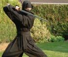 Ninja warrior and the fight with the katana
