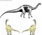 Zizhongosaurus is a genus of basal herbivorous sauropod dinosaur which lived in the Early Jurassic Period of China.