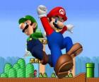 Mario and his brother Luigi, the most famous plumbers