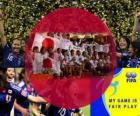 2011 FIFA Fair Play Award for the Japan Football Association