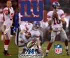 New York Giants NFC Champion 2011