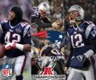 New England Patriots AFC champion 2011