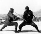 Fight between two ninjas