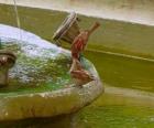 Little birds splashing in a fountain