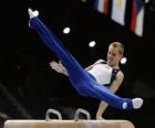 A gymnast performs his exercise on the pommel horse