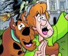 Scooby-Doo and its friend Shaggy running away frightened