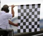 Checkered flag, this flag is shown at the end of the race