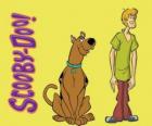 Scooby-Doo and Shaggy, two friends