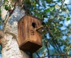 Small house of wood for the birds in spring