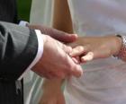 The hand of the bride with the ring and the hand of the groom