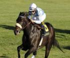 Horse and jockey on a horse race at the racetrack