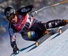 Alpine skier practicing a downhill