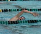 Swimmer practicing freestyle in the lane of a competition pool