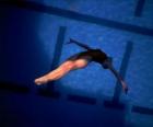 A female diver jump forward