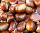 The chestnut, the fruit of the chestnut tree