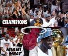 Miami Heat 2012 NBA Champion