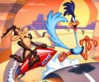 Wile E. Coyote and Road Runner. The Coyote and the Road Runner