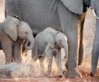 Mom controlling the little elephant