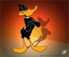 Daffy Duck in the Looney Tunes