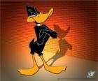 Daffy Duck in the Looney Tunes