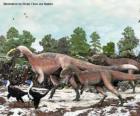 Yutyrannus with nearly 9 meters in length is the largest dinosaur with feathers known