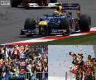 Mark Webber celebrates his wictory in the British Grand Prix 2012