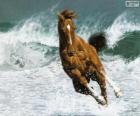 Horse running in the waves