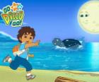 Diego on the beach and a sea turtle in water