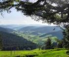 Valley in the Black Forest, Germany