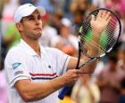 Andy Roddick announced his retirement from professional tennis on September 5, 2012