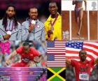 Men's 110 metres hurdles London 2012