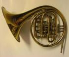 Horn or French horn, brass instrument