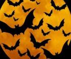 Bats for the celebration of Halloween