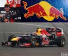 Mark Webber - Red Bull - 2012 Indian Grand Prix, 3rd classified