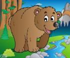 Brown bear. Grizzly bear