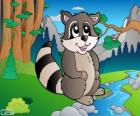 Drawing of raccoon