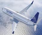 Copa Airlines is the international airline of Panama