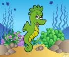 Seahorse