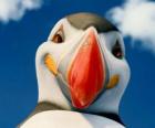 The Mighty Sven, an atlantic puffin which can fly