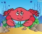 Drawing of crab