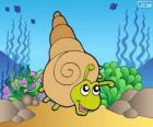 Sea snail