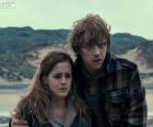 Hermione Granger and Ron Weasley