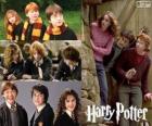 Harry Potter and his friends Ron and Hermione