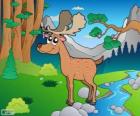 Drawing of moose in the Woods