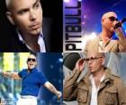 Pitbull (Armando Christian Perez), is a music producer of Cuban descent