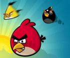 Three of the birds from Angry Birds