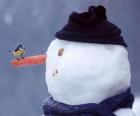 Snowman with a bird on his nose