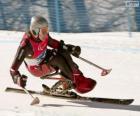 Paralympic skier in the slalom competition