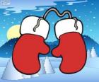 Santa Claus gloves. Red and white mittens